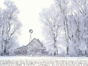 Frosted Farmland, LaSalle County, Illinois Images, Picture, Photos, Wallpapers
