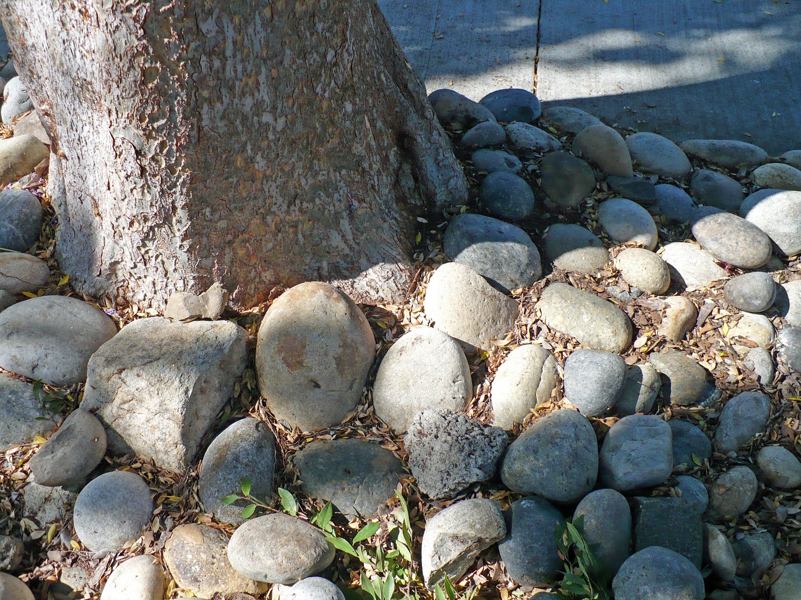 [P1020088_edited.JPG]