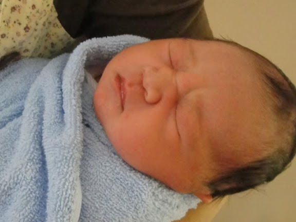 Life, In My Own Backyard