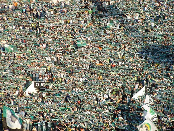 [Sporting_sÃ³cios.jpg]