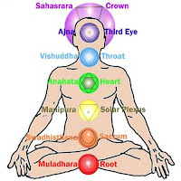 The chakras in the human subtle body