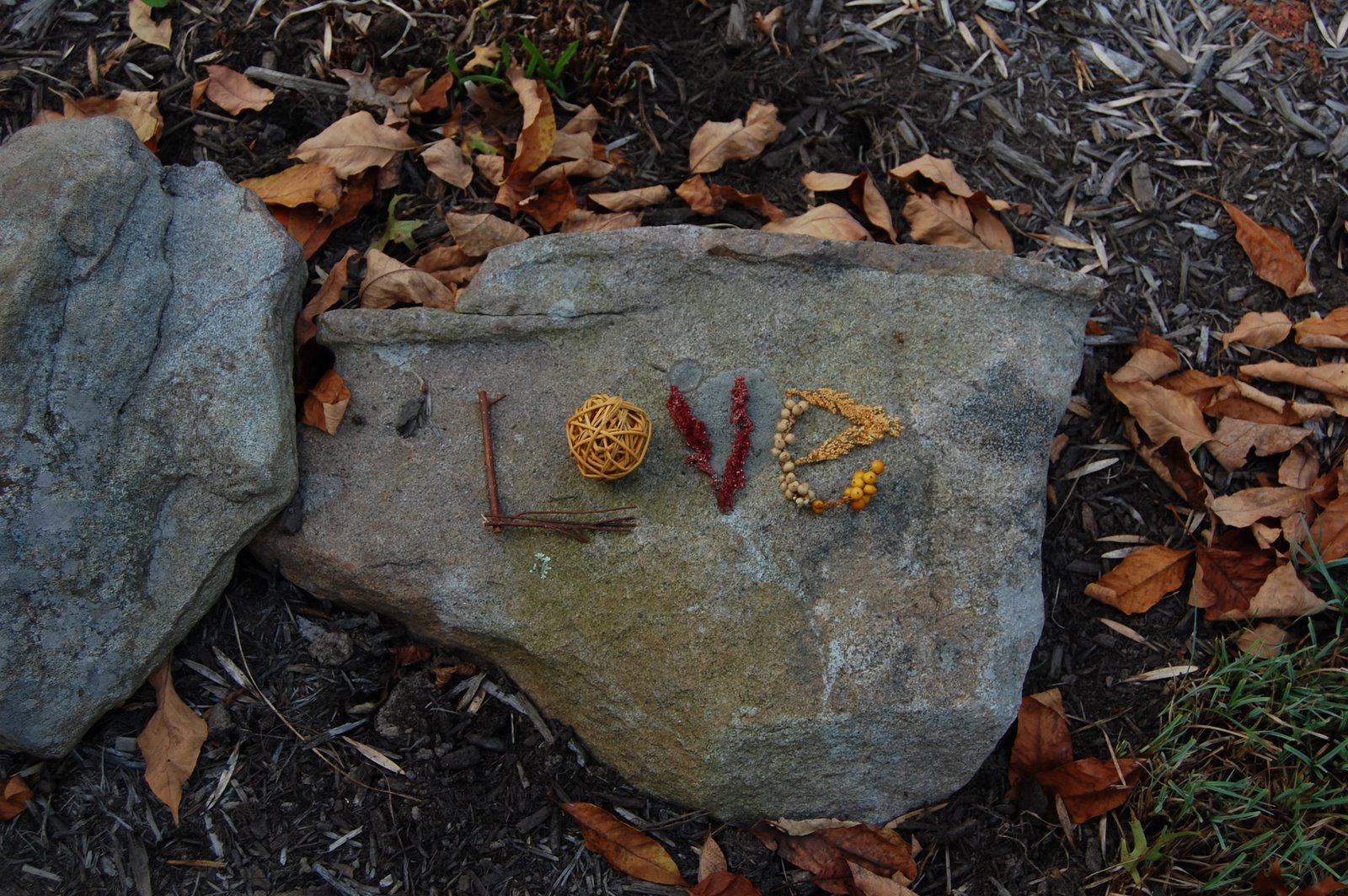 [DSC_0030.JPG]