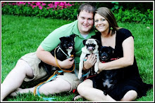 Mr & Miss Pug and Furkids