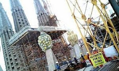 La imagen de la semana