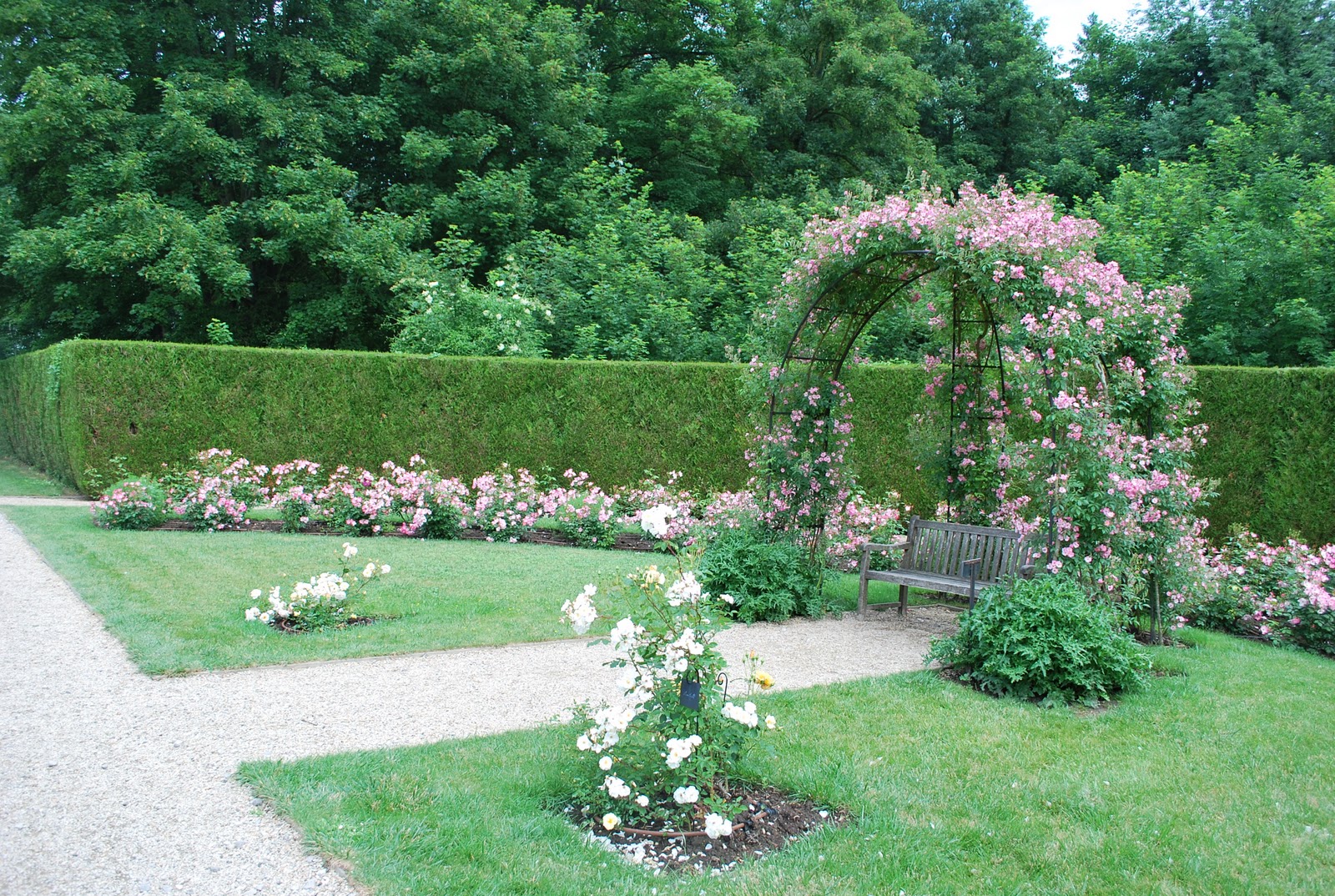 Pralineries: Le jardin secret