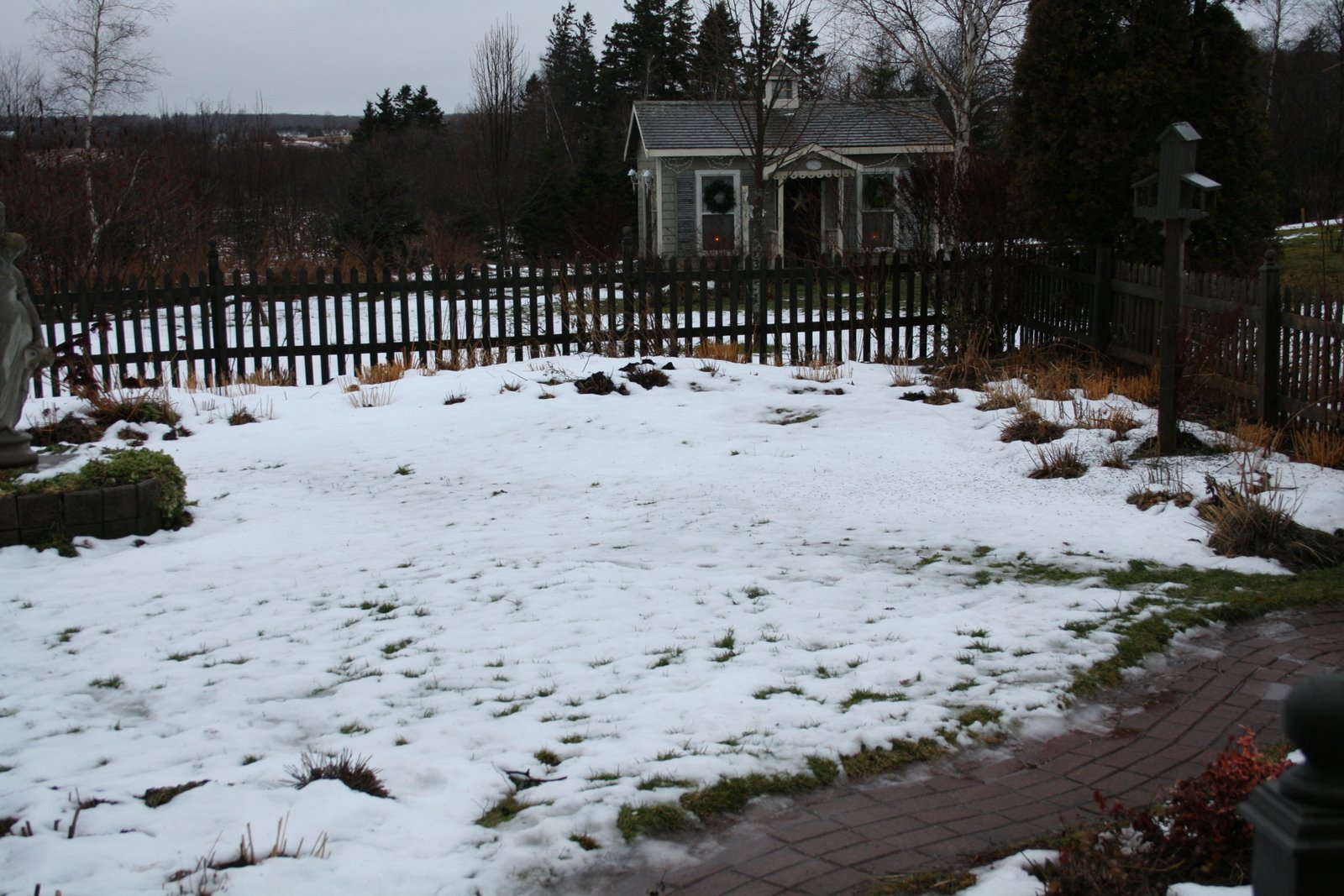 [IMG_8221-775721.JPG]