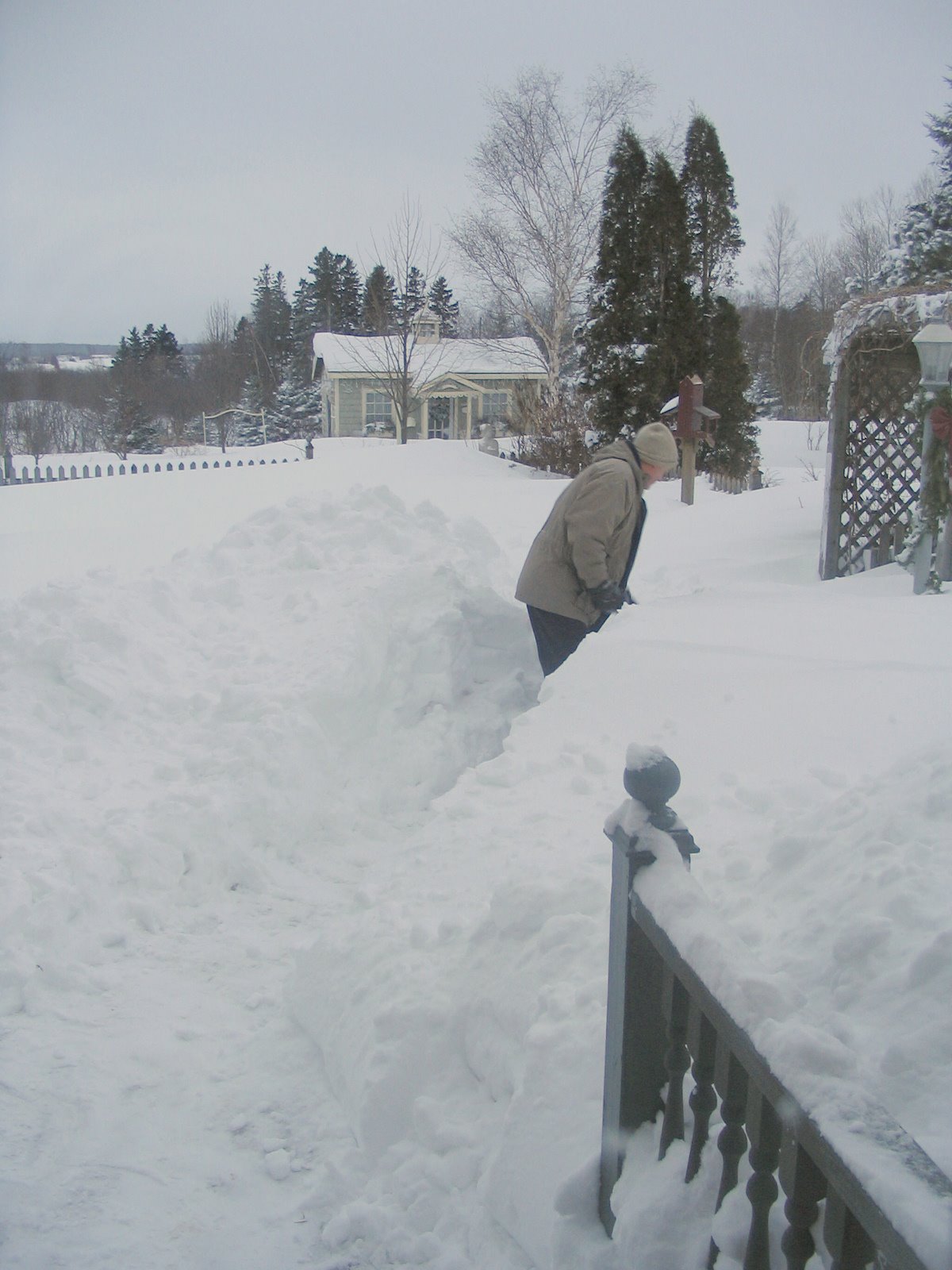 [IMG_4458-776713.JPG]