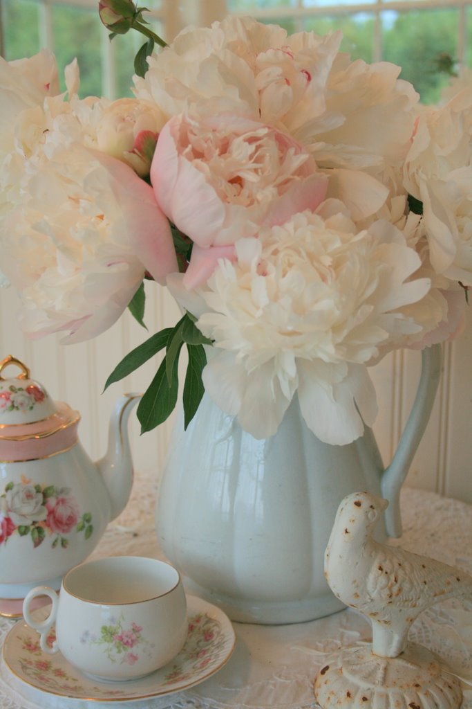 [IMG_3379-710559.JPG]