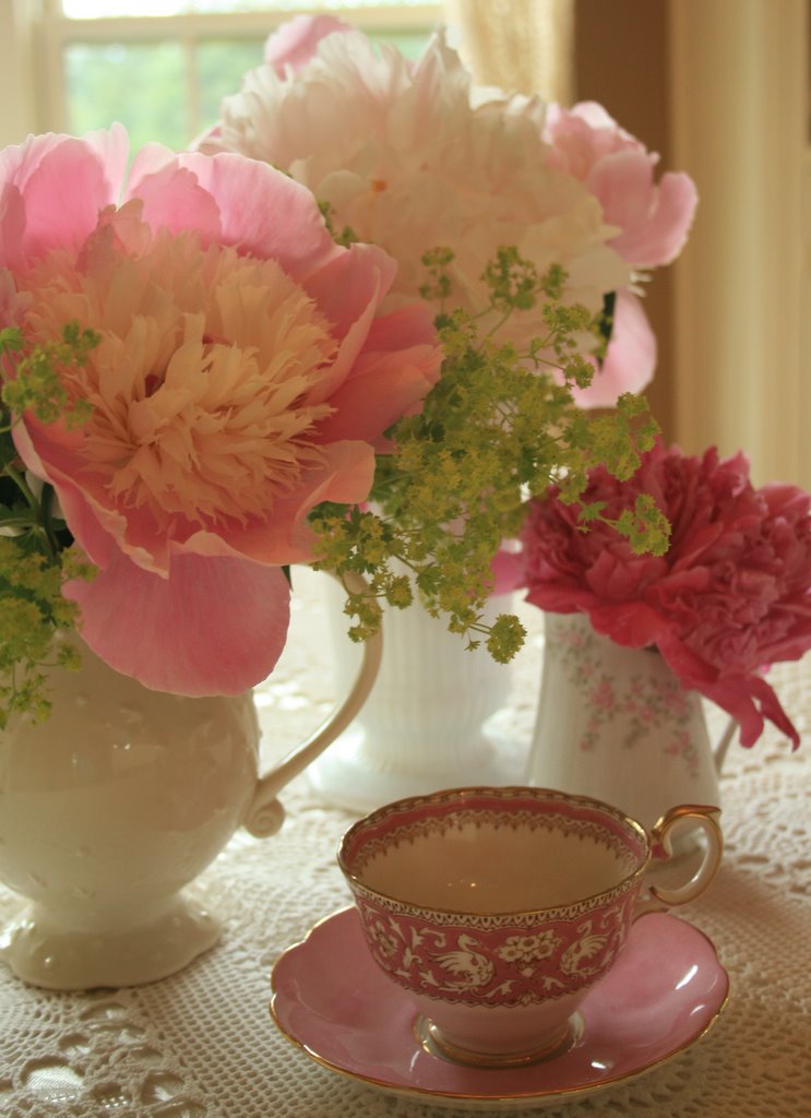 [IMG_3625-716682.jpg]