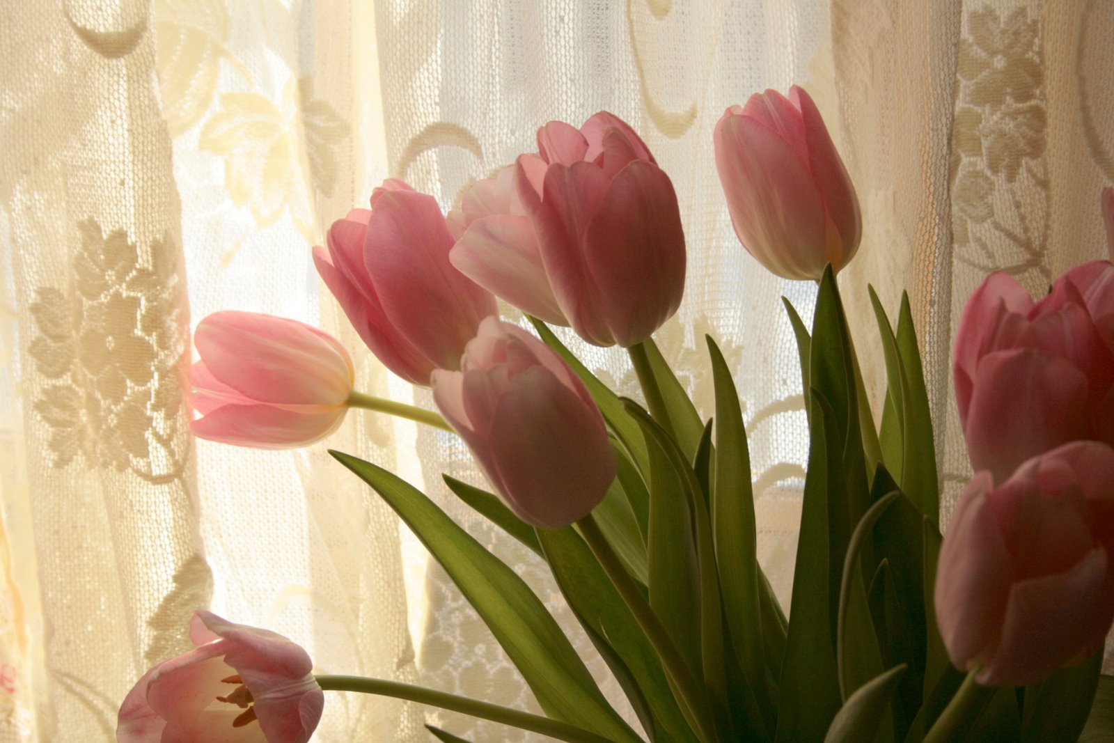 [IMG_9178-730226.jpg]