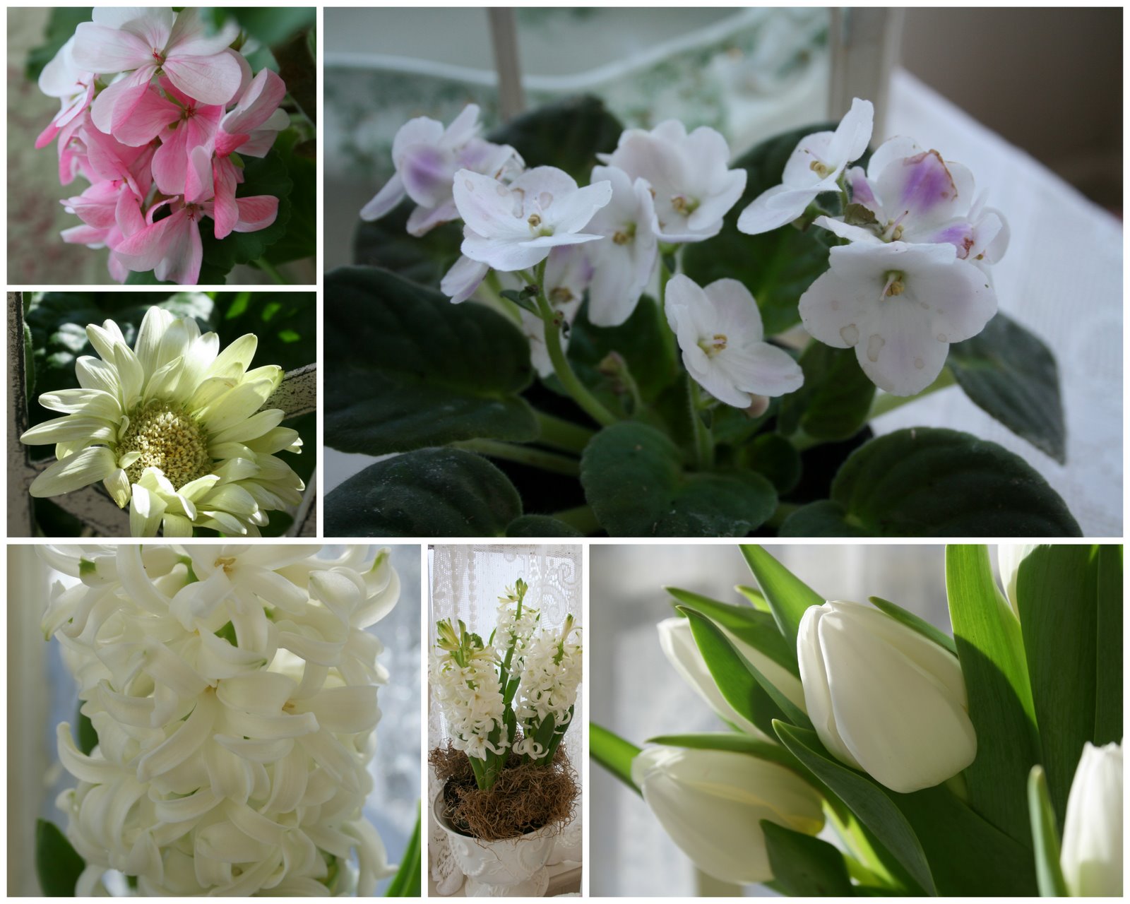 [2010-01-31-0943-33-718596.jpg]