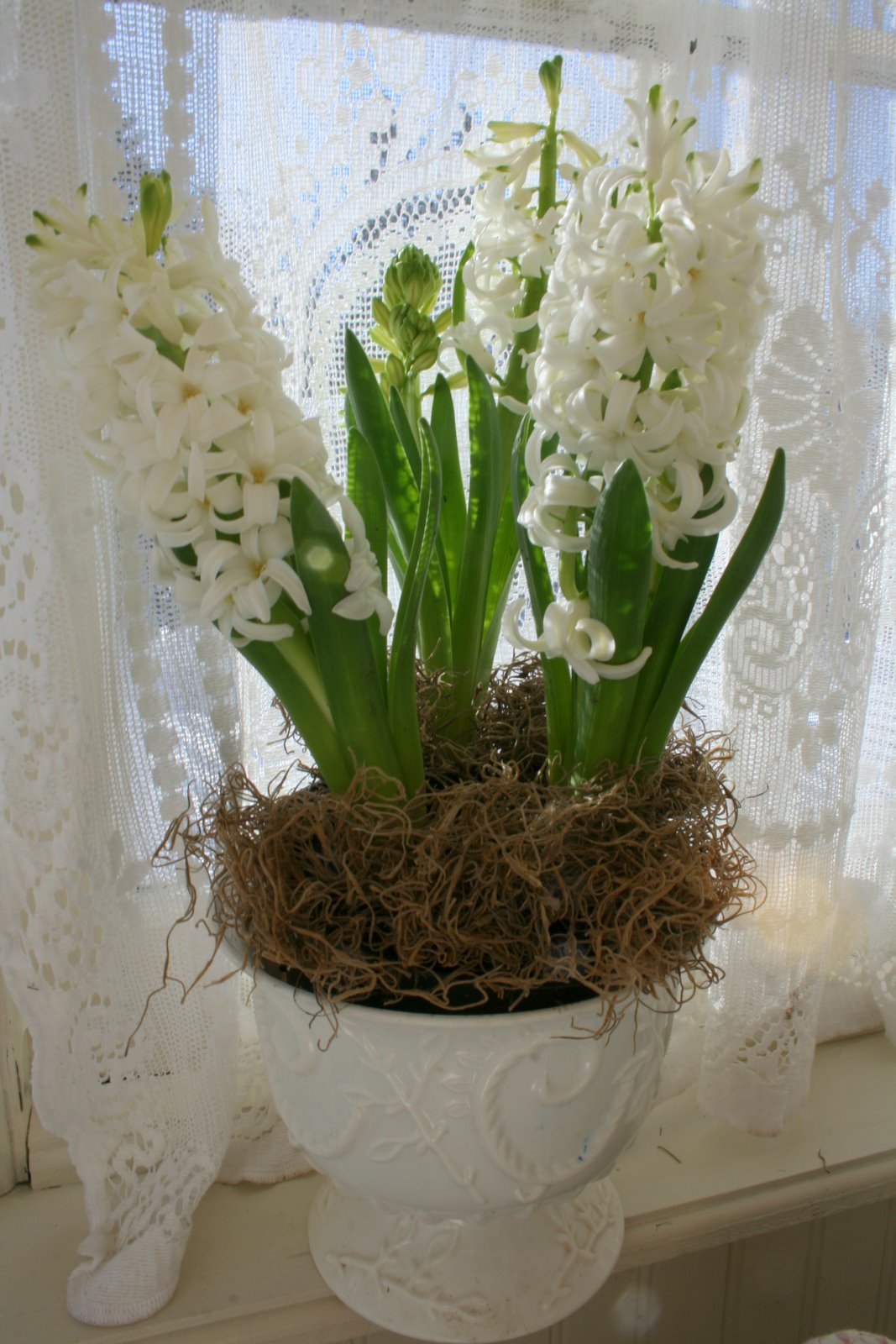 [IMG_9000-744883.jpg]