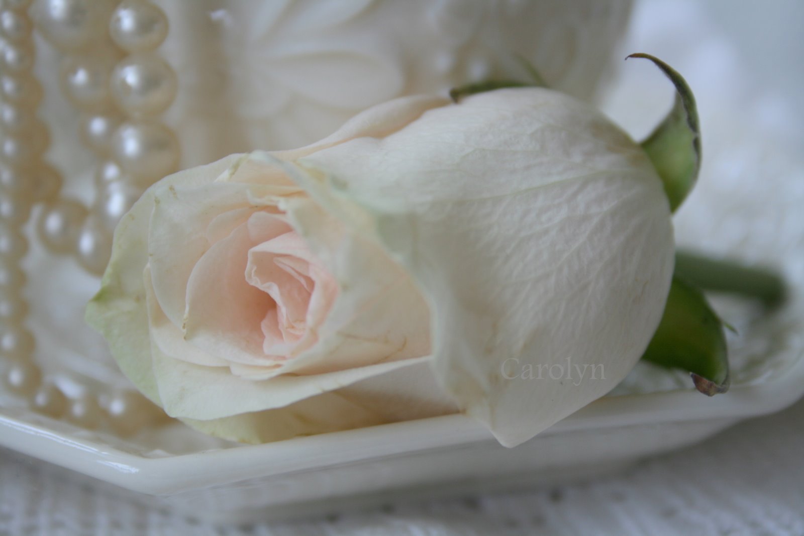 [IMG_0963-758836.jpg]