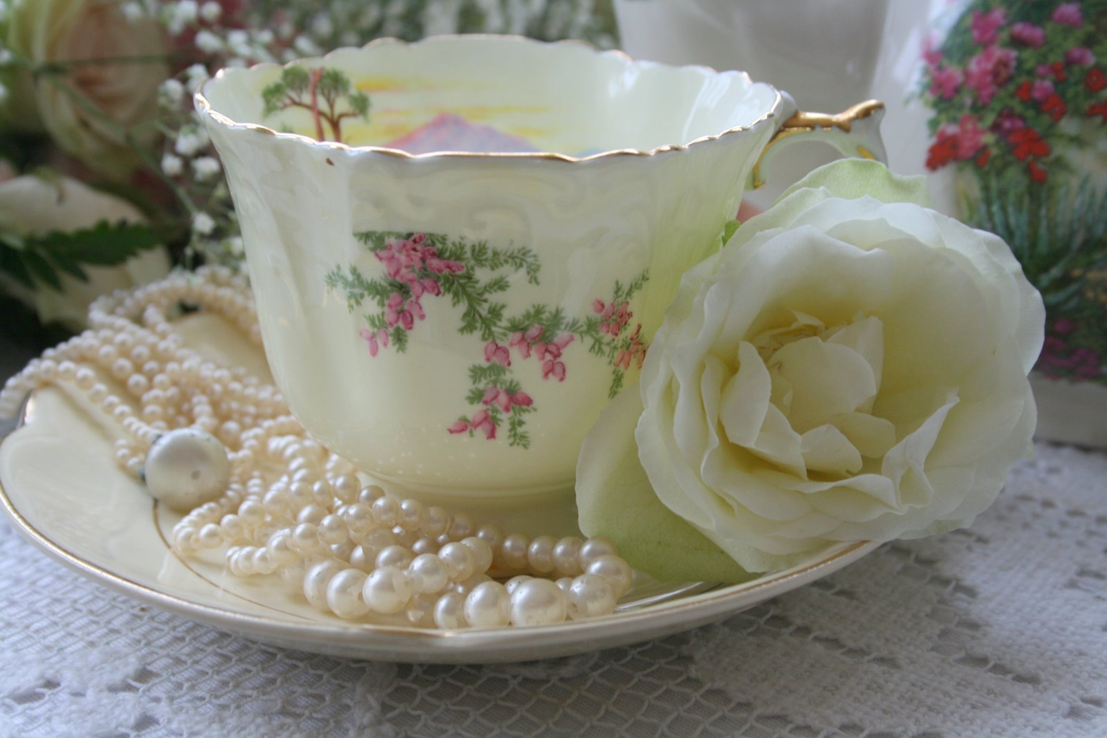 [IMG_1008-795775.jpg]