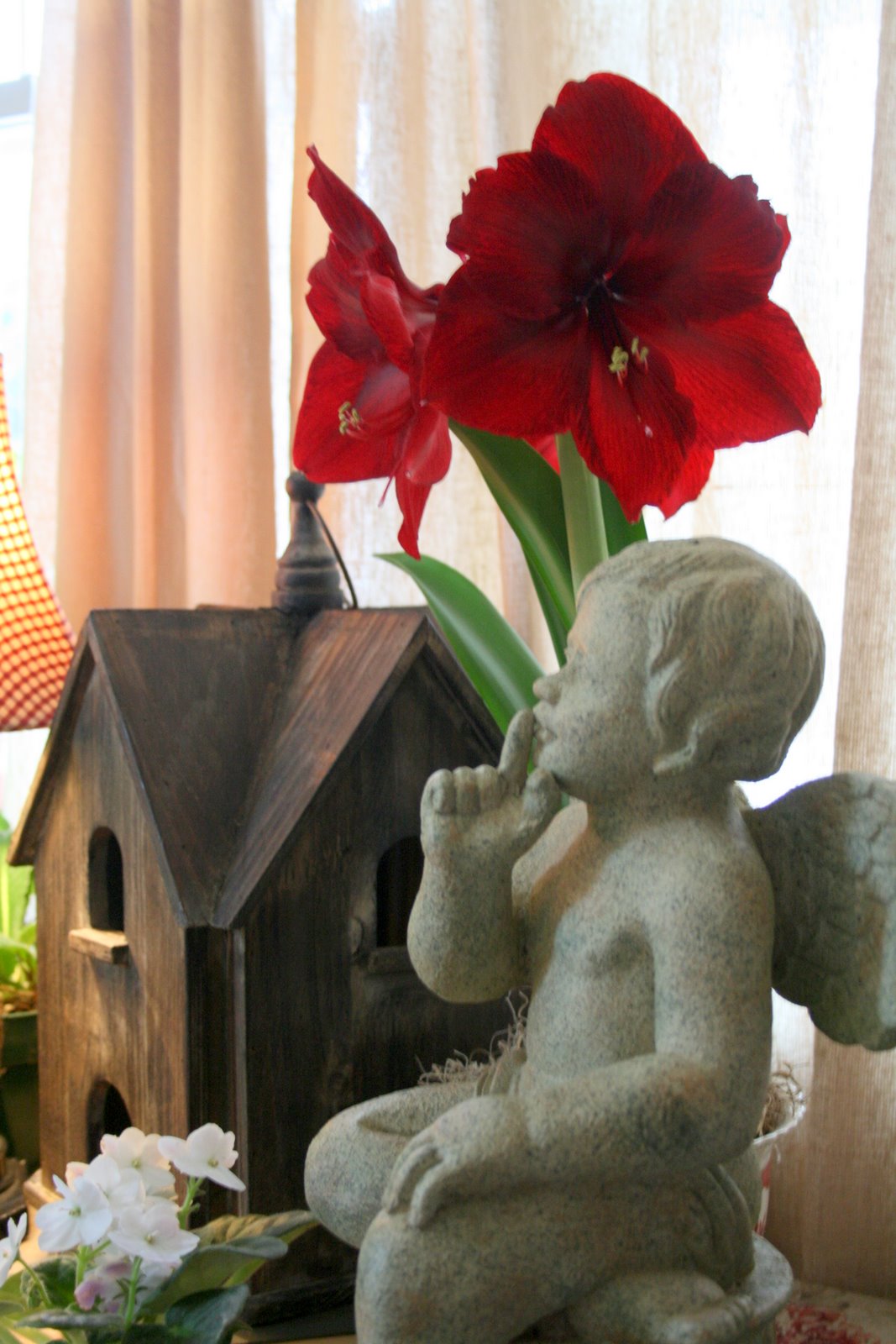 [IMG_1733-719774.jpg]