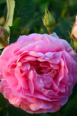 [IMG_8404-730026.JPG]