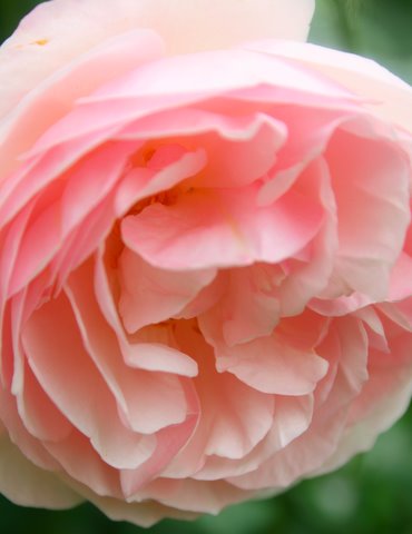 [IMG_8709-739024.jpg]