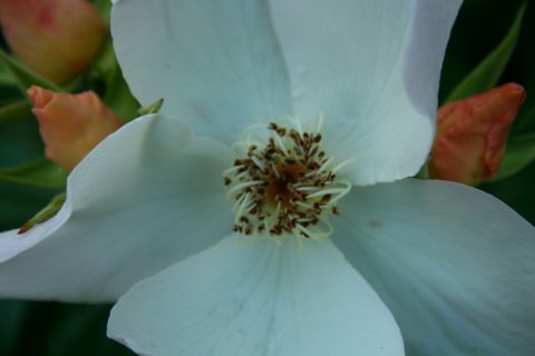 [IMG_6813-746009.jpg]