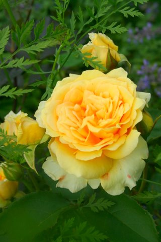 [IMG_8677-719607.jpg]