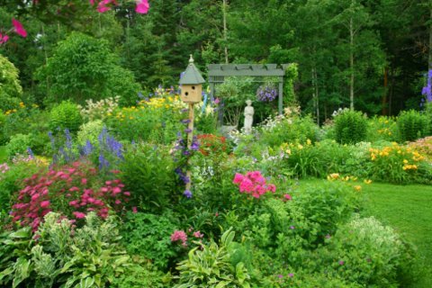 [IMG_8766-717273.jpg]