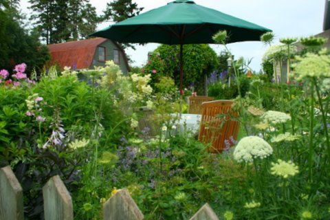 [IMG_8673-720206.jpg]