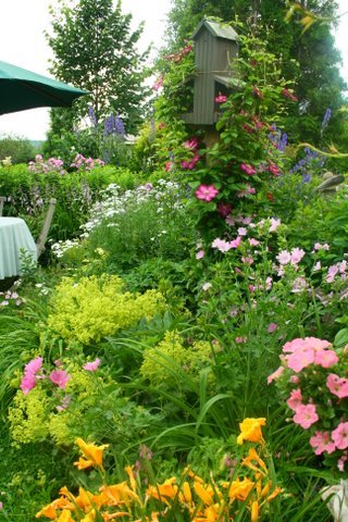 [IMG_8643-724752.jpg]