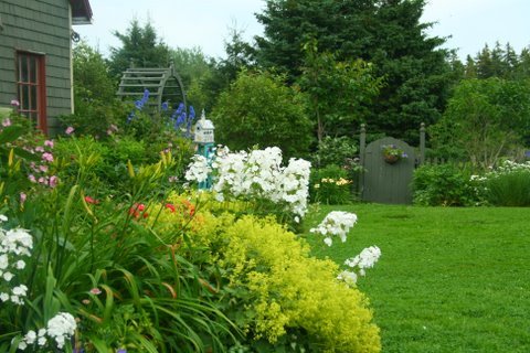 [IMG_8631-725421.jpg]