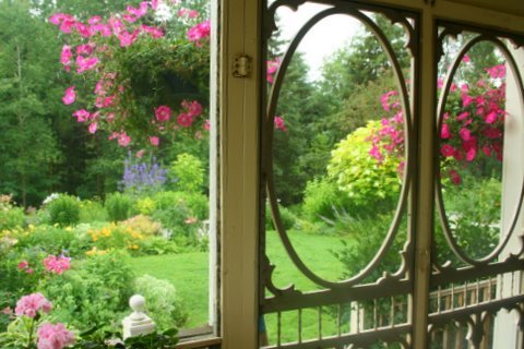 [IMG_8805-728063.jpg]