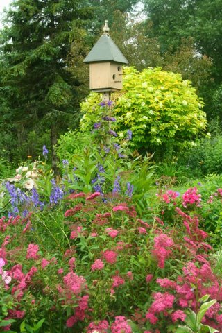 [IMG_8791-729684.jpg]