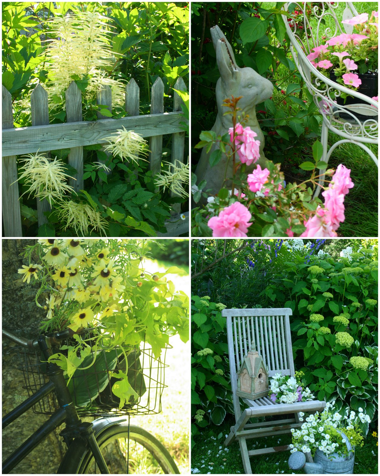 [July+9+009+blogging+ohotos.jpg]