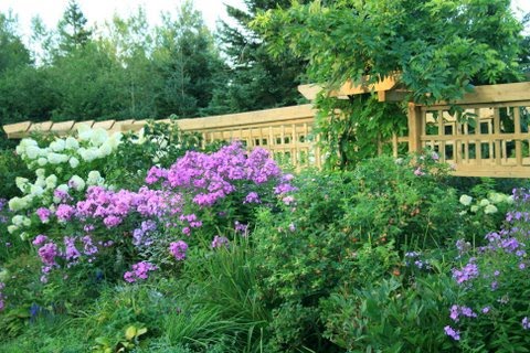 [IMG_5341-740094.JPG]