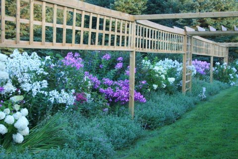 [IMG_5360-751689.JPG]