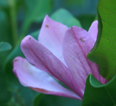 [IMG_5416-758867.JPG]