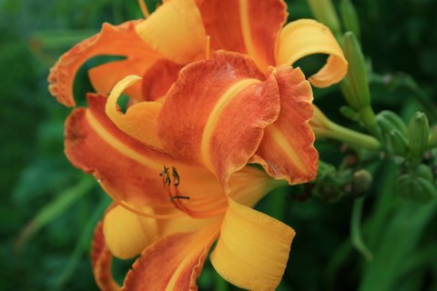 [IMG_5436-763030.JPG]