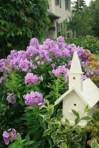 [IMG_5209-766673.JPG]