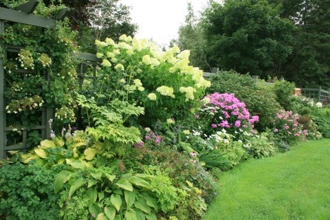 [IMG_5140-771009.JPG]