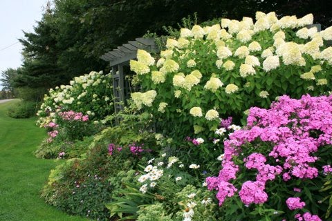 [IMG_5147-772747.JPG]