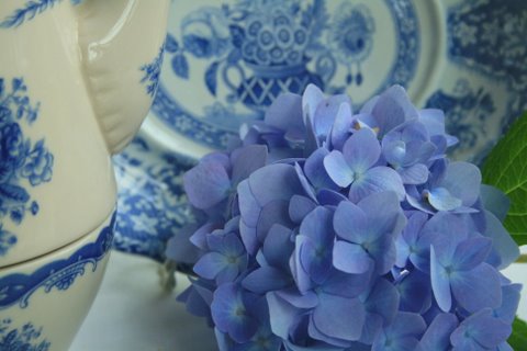 [IMG_6003-771200.jpg]