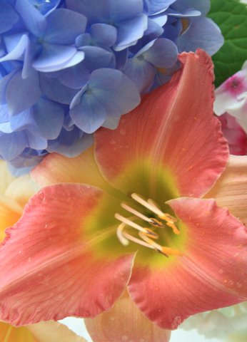 [IMG_6018-775089.jpg]