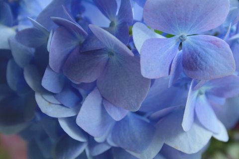 [IMG_5980-772626.jpg]