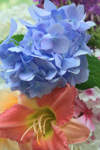 [IMG_6016-777461.jpg]