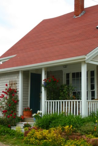 [IMG_7980-726022.jpg]