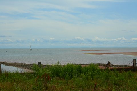 [IMG_7911-760446.jpg]