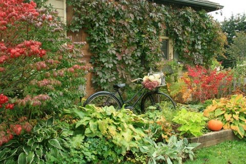 [IMG_9222-778240.JPG]