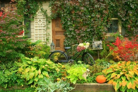 [IMG_9225-781011.JPG]