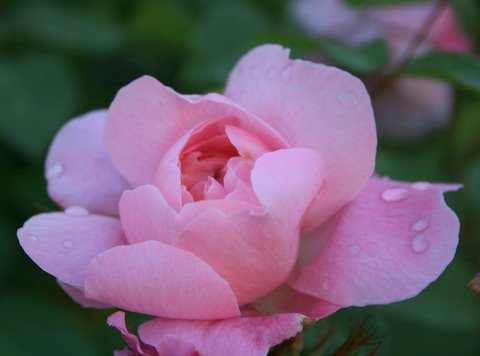 [IMG_8941-705370.jpg]