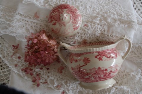 [2009-05-01_11-722513.JPG]