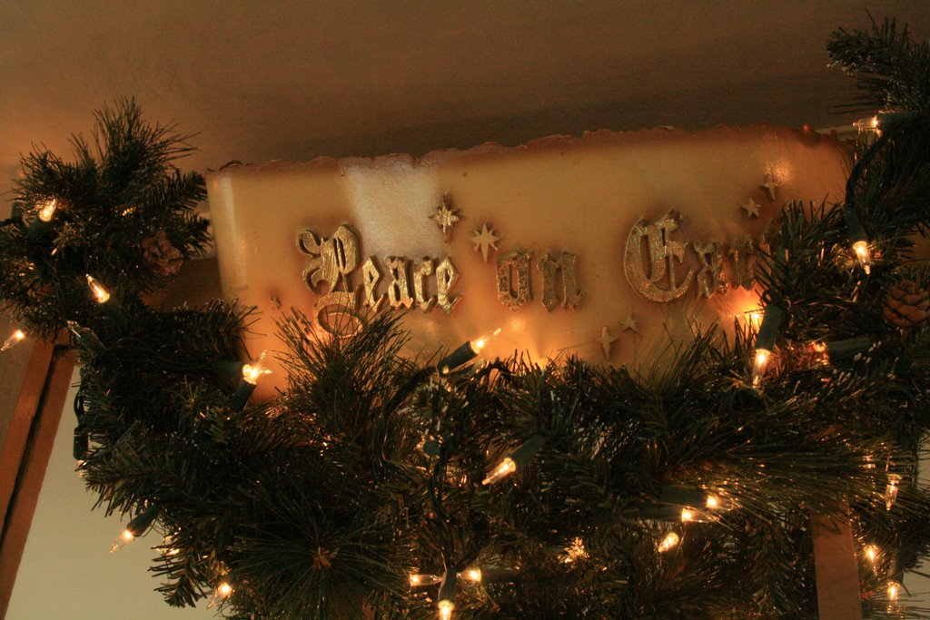 [IMG_5100-746621.jpg]