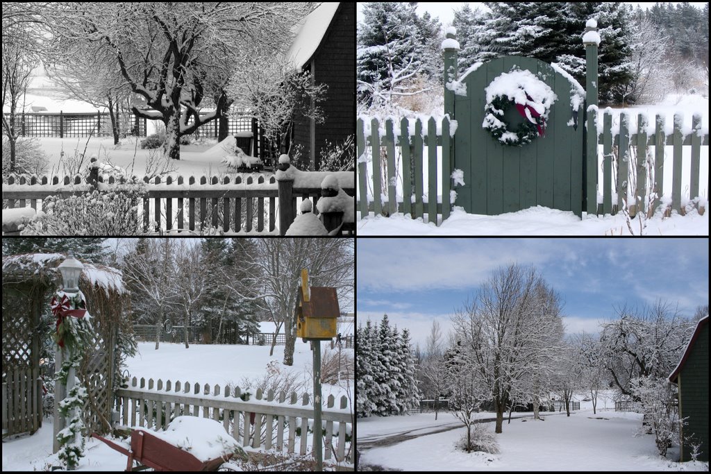 [Starred+Photos4-1-796621.jpg]