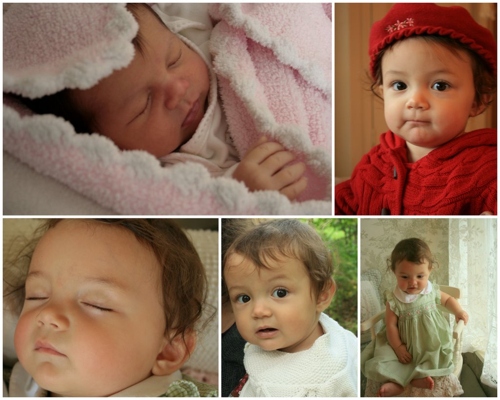 [november+15+2008-700283.jpg]